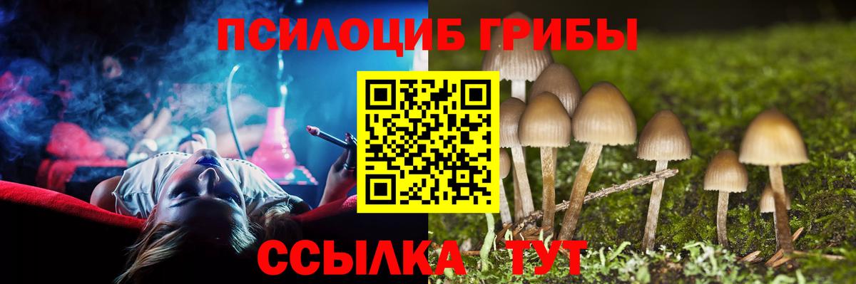 Уссурийск  Галлюциногенные грибы GOLDEN TEACHER  Вход с VPN 